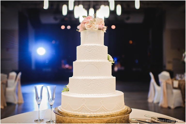 Southeast Texas Wedding Photographer Parfait Photography_0469