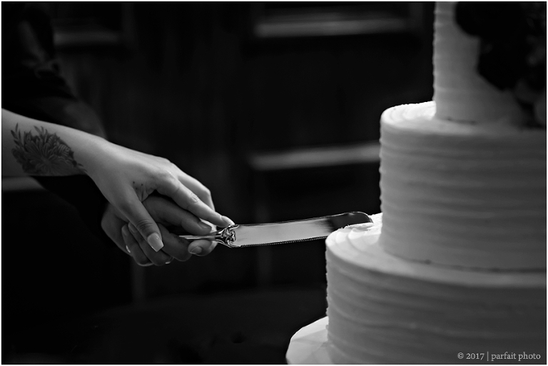 Southeast Texas Wedding and Portrait Photographer Parfait Photography_0903