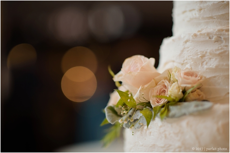 Southeast Texas Wedding and Portrait Photographer Parfait Photography_1029